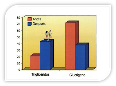 Resultado de imagen para Efectos del entrenamiento de resistencia sobre la utilización de HC y de grasas
