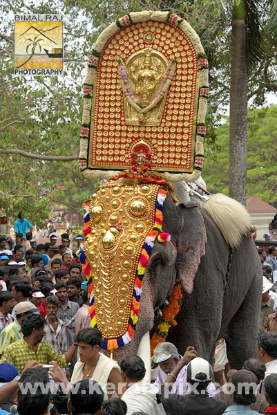 [TPM_039_trichur_pooram_kerala_DSC_0040.jpg]