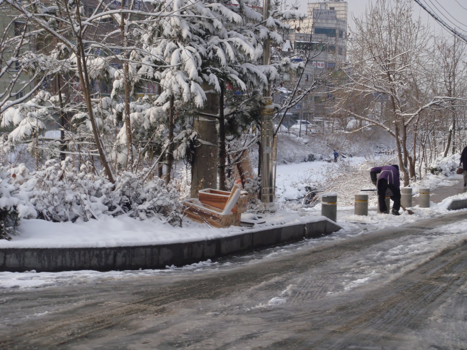 [DSC08773.JPG]