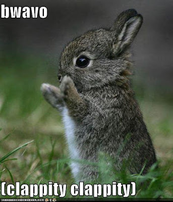 http://4.bp.blogspot.com/_LCYVaF0ns04/SGbnnax6WtI/AAAAAAAABb0/DcBEmdywTuw/s400/funny-pictures-bravo-bunny.jpg
