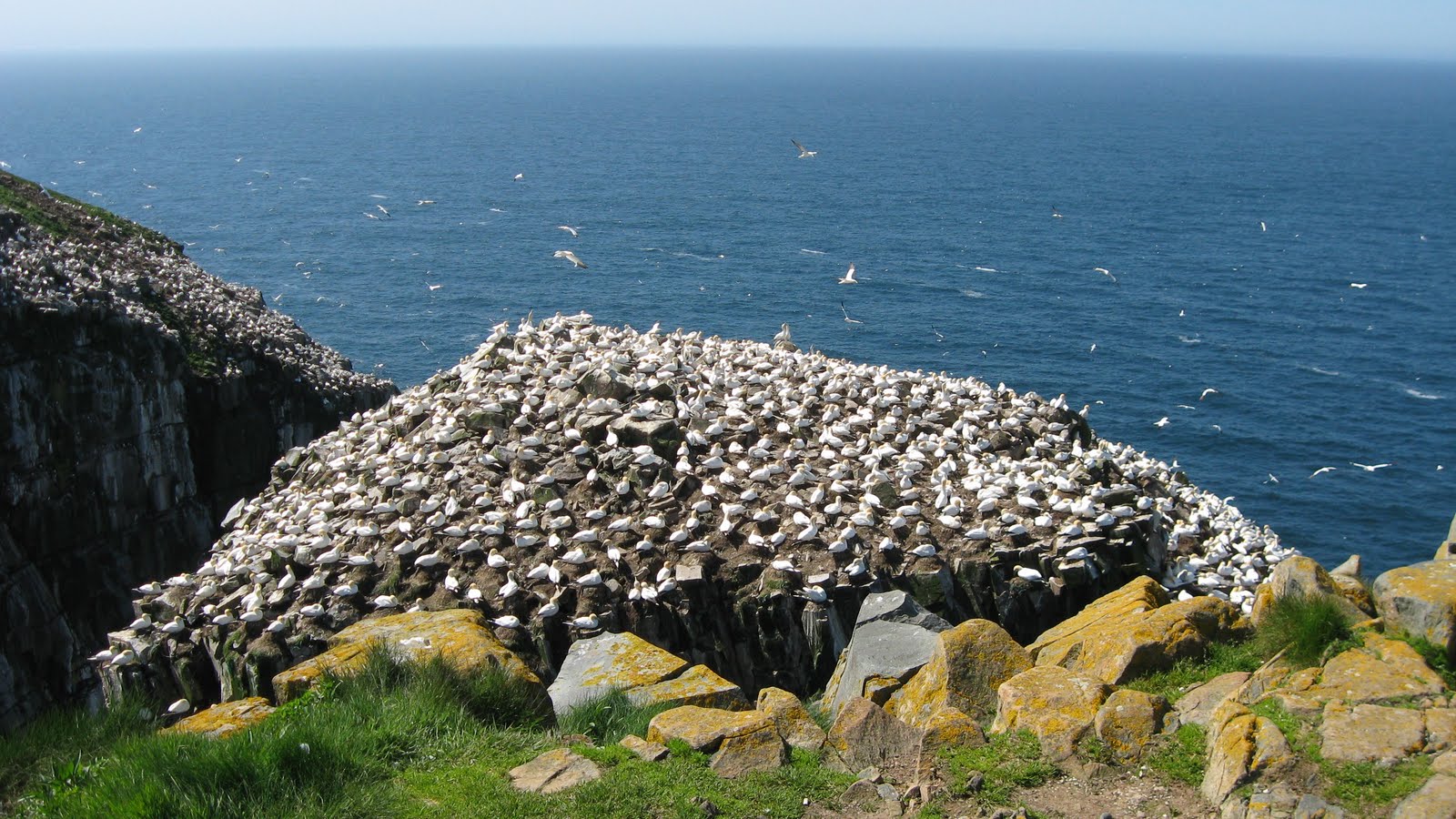 Avalon Newfoundland