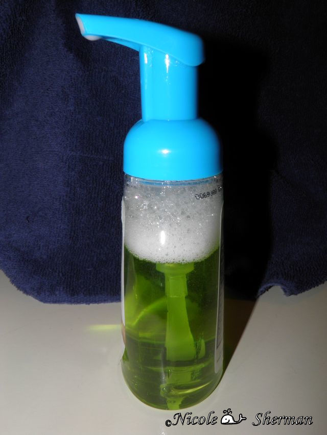 Homemade Foaming Hand Soap Colie's Kitchen