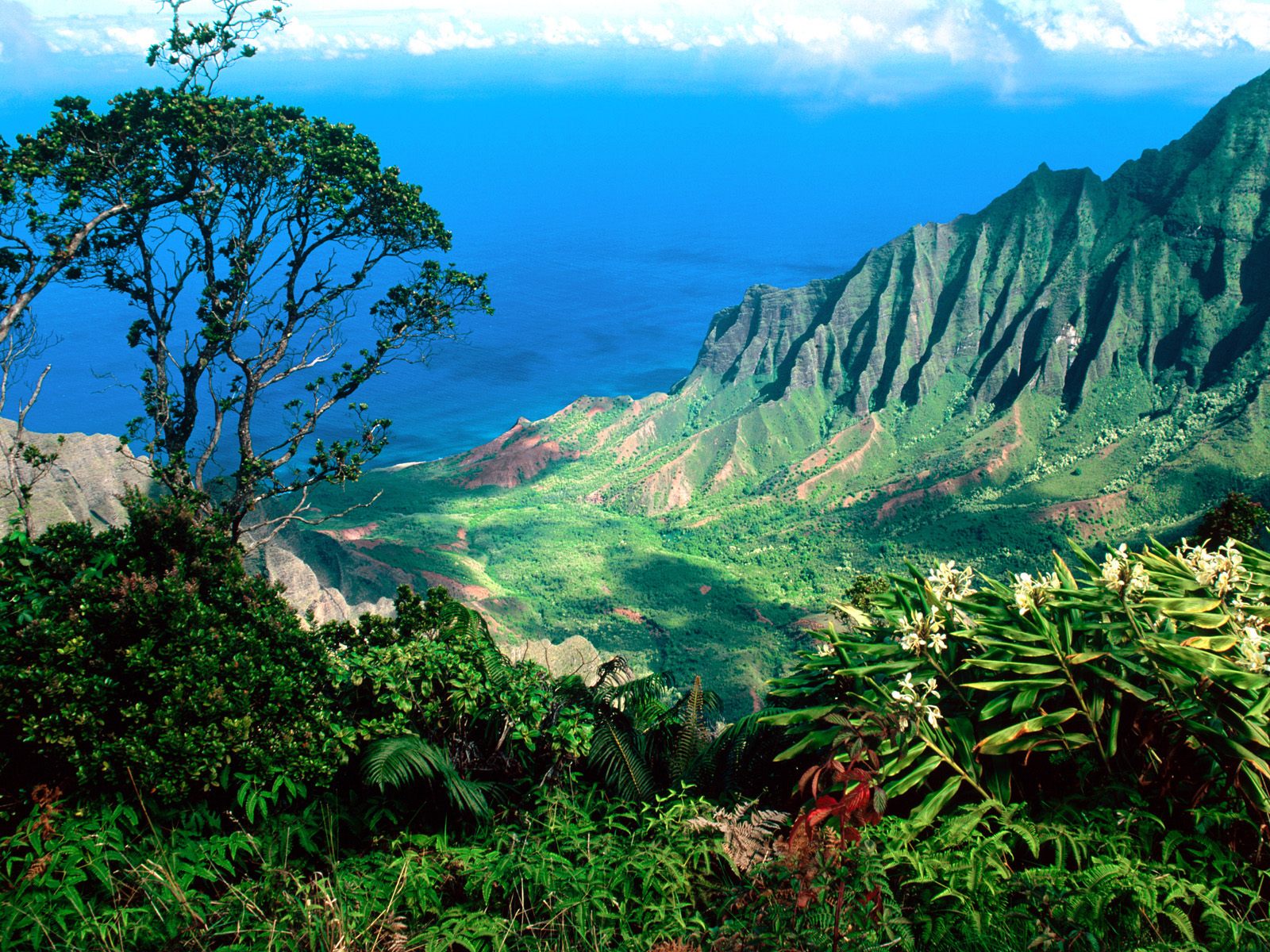 Download this Hawaii picture Download this Hawaii picture