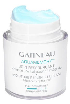 gatineau aquamemory