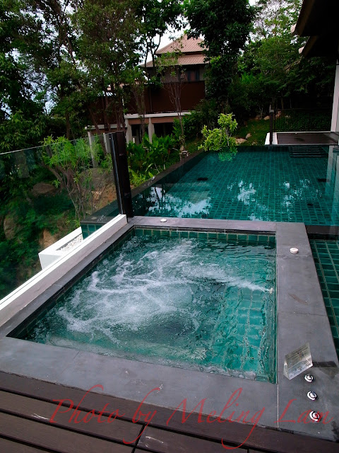banyan tree samui