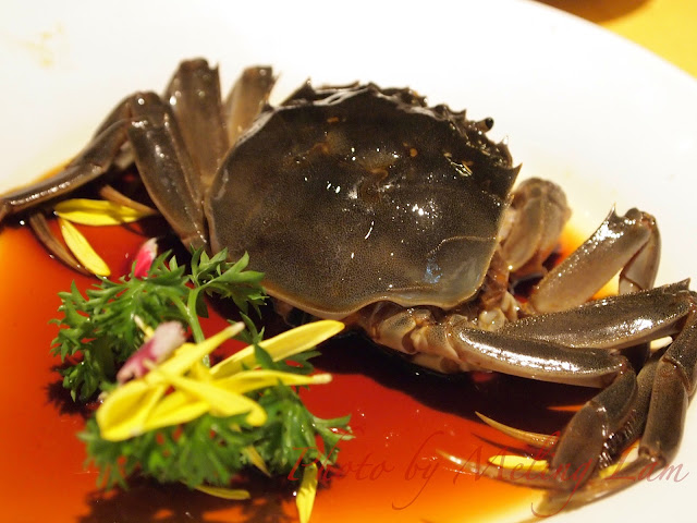上海 大閘蟹 成隆行 shanghai crab