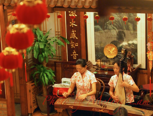 上海 大閘蟹 成隆行 shanghai crab