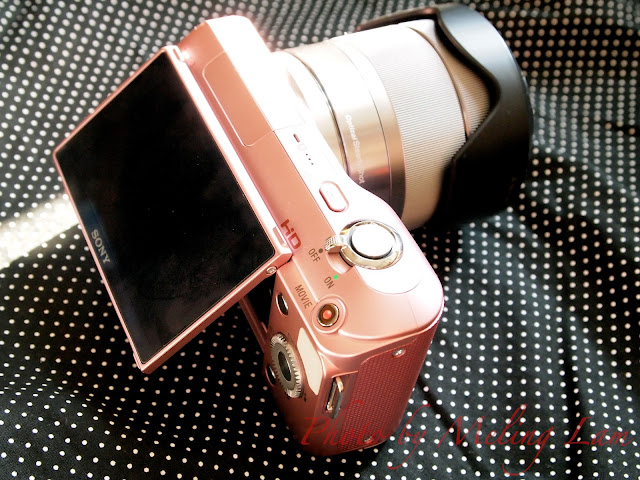 sony next-3 camera photo photography