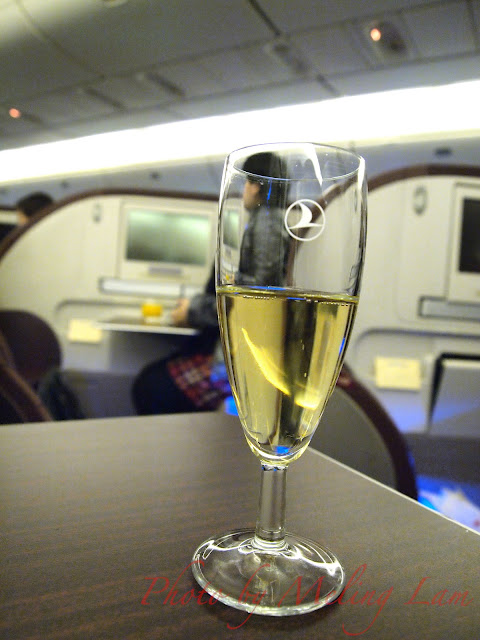 turkish airline flying chef 土耳其航空 空中主廚 travel plane flight