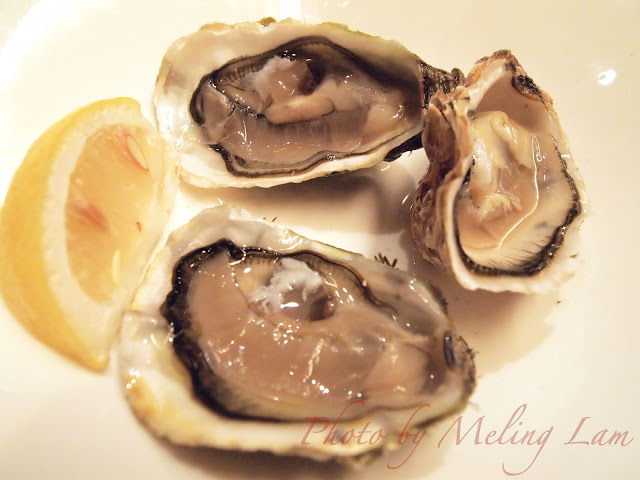 新西蘭 Auckland Rock oyster dinner buffet hotel panorama cafe express