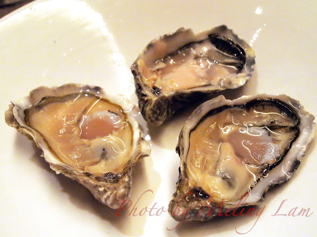 Bretagne oyster dinner buffet hotel panorama cafe express