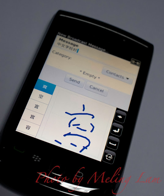 blackberry torch