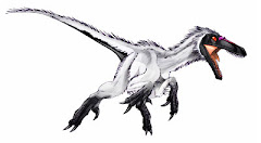 bambiraptor