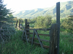 Marolt Ranch