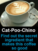 Cat-Poo-Chino