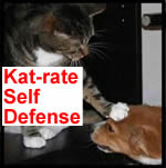 Kat-rate Self Defense