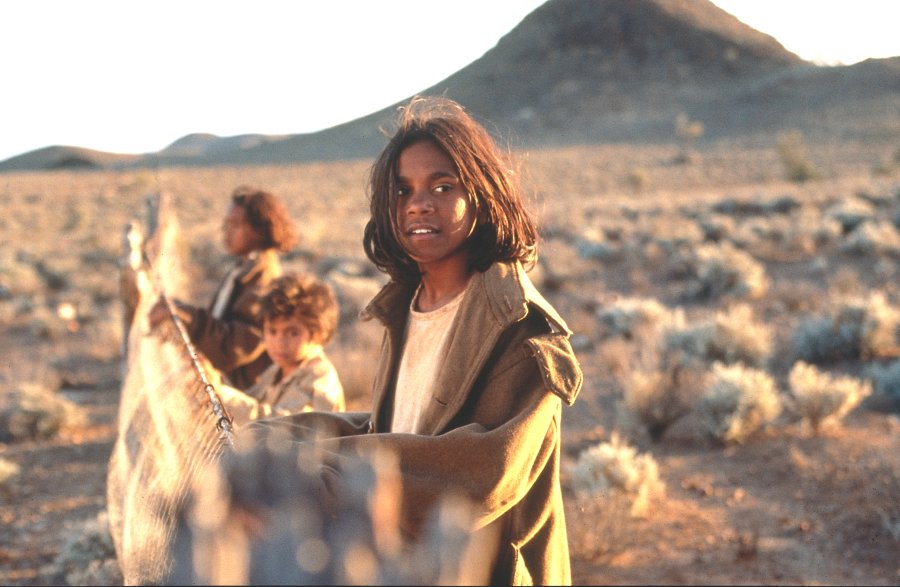 rabbit proof fence essay rabbit proof fence essay