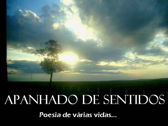 Apanhado de sentidos