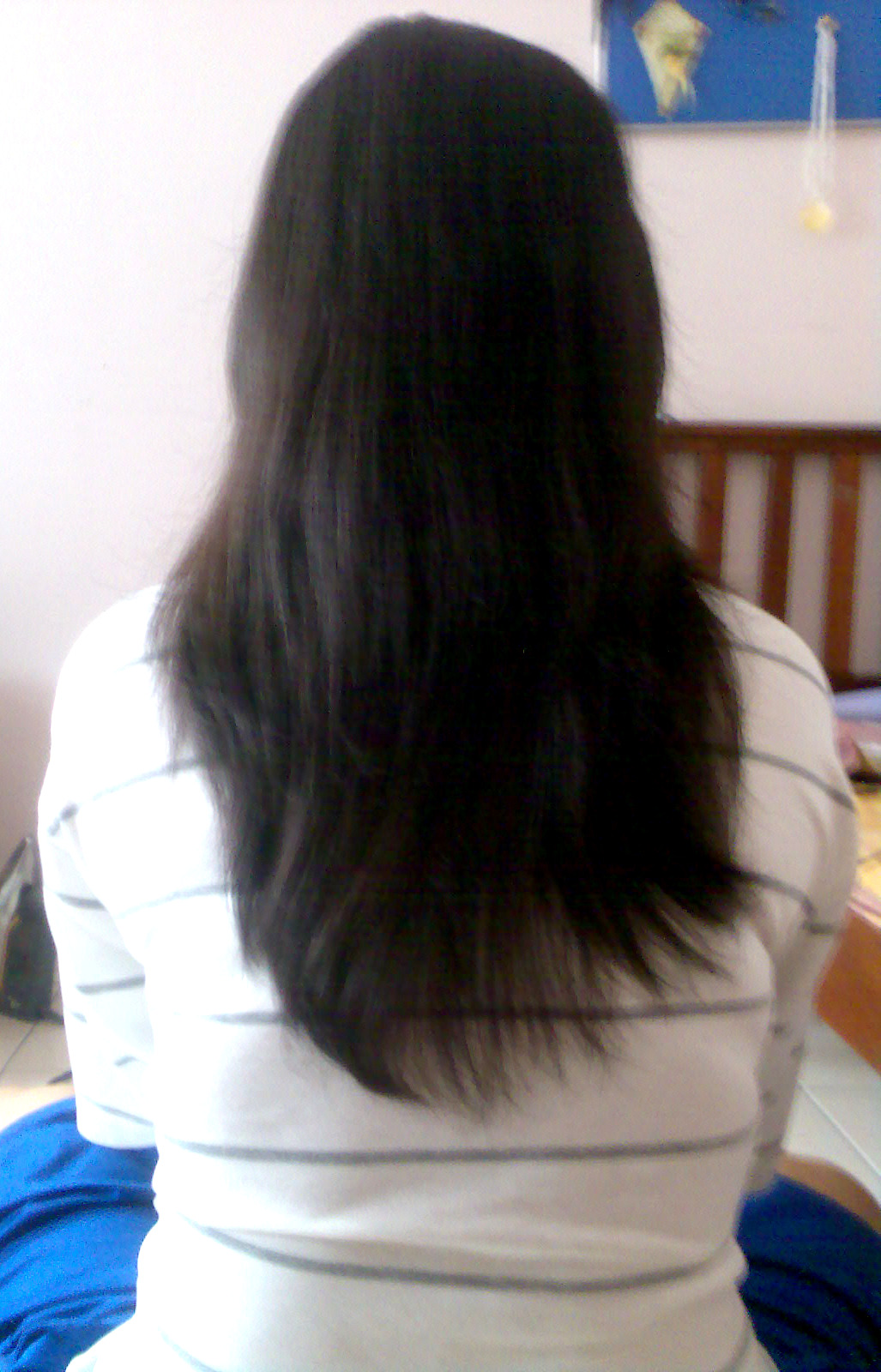 Cerita Di Luar Jendela Tips Untuk Rambut Panjang Dan Lebat