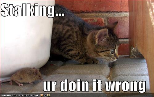 funny stalking pictures