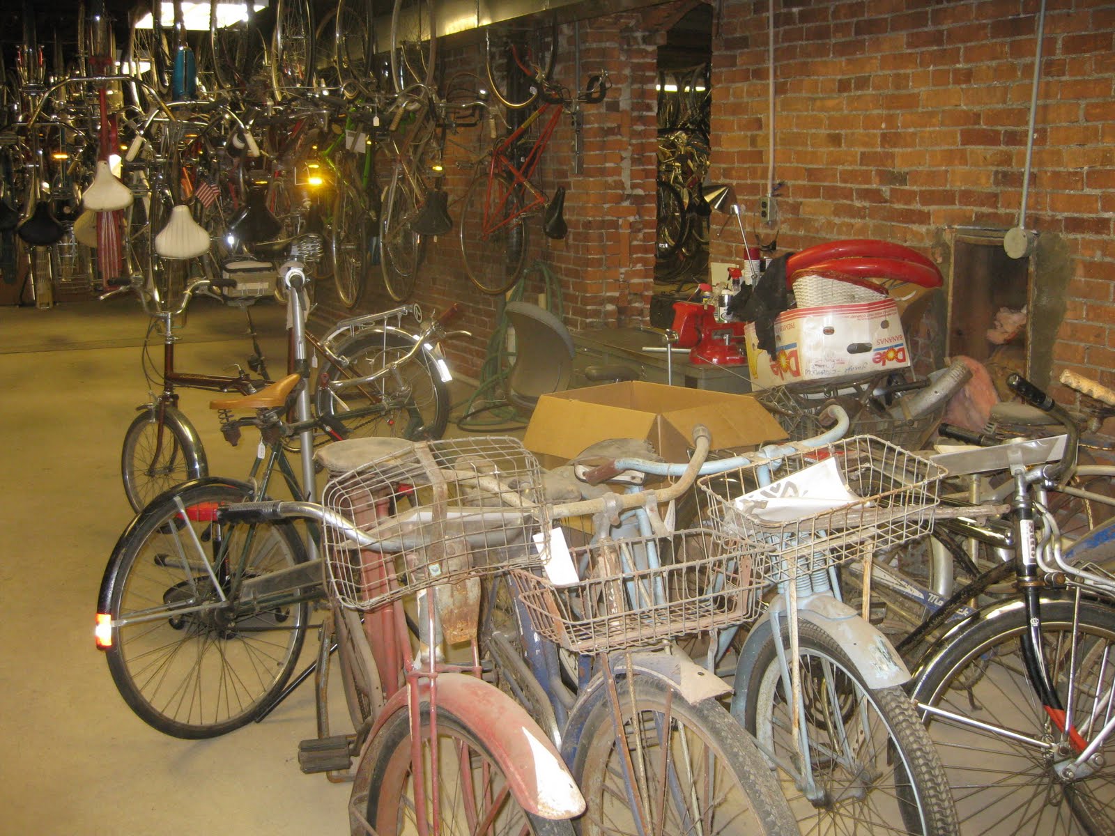 Big Oak Bikes October 2010