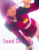 Seed Destiny