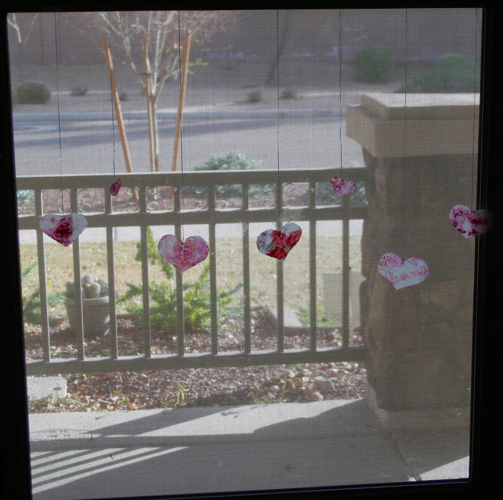[20090209_0741.JPG]