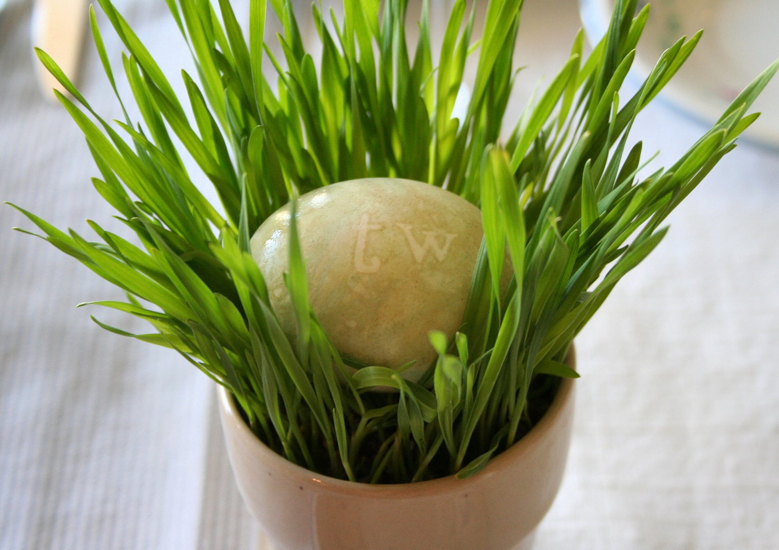 [20090413_1930.JPG]