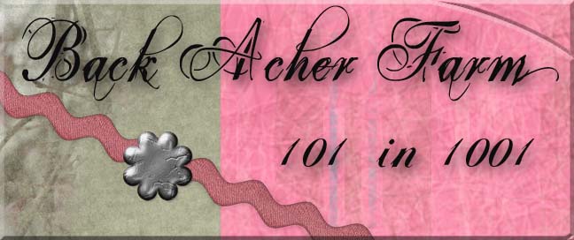 Back Acher's 101 in 1001