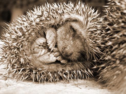 come fare amore a distanza
