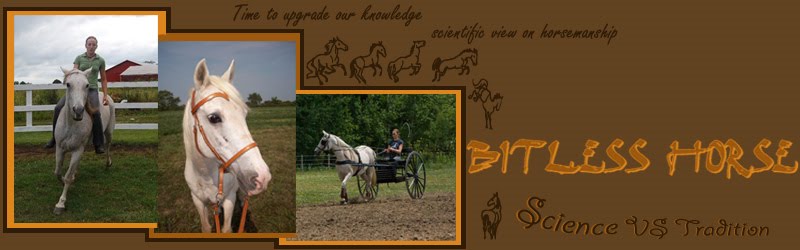 Bitless horse: Science VS tradition