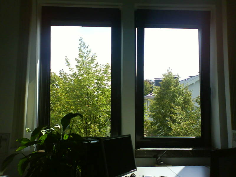 [image-upload-15-719764.jpg]