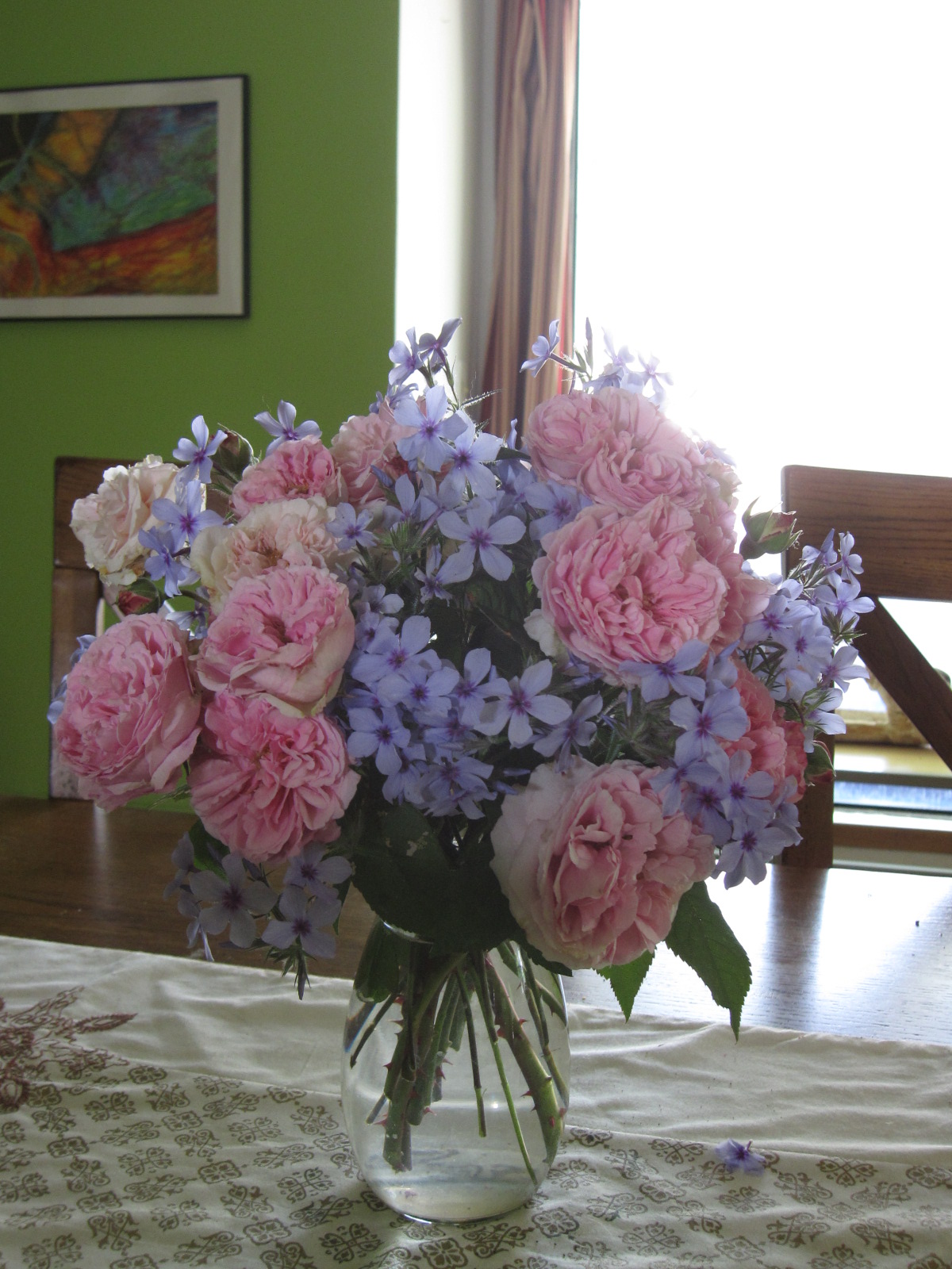 Arrowhead Alpines Blog The best smelling rose in the world