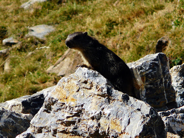 [P1080198.JPG]