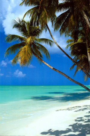 [beach.jpg]
