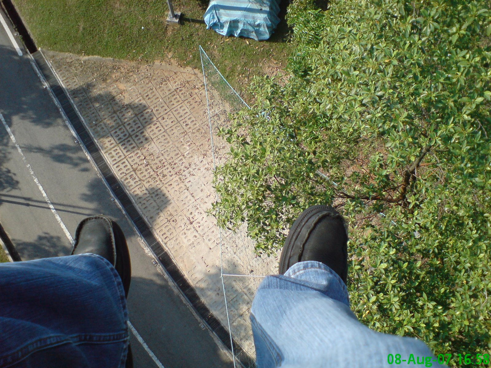 [DSC00245.JPG]