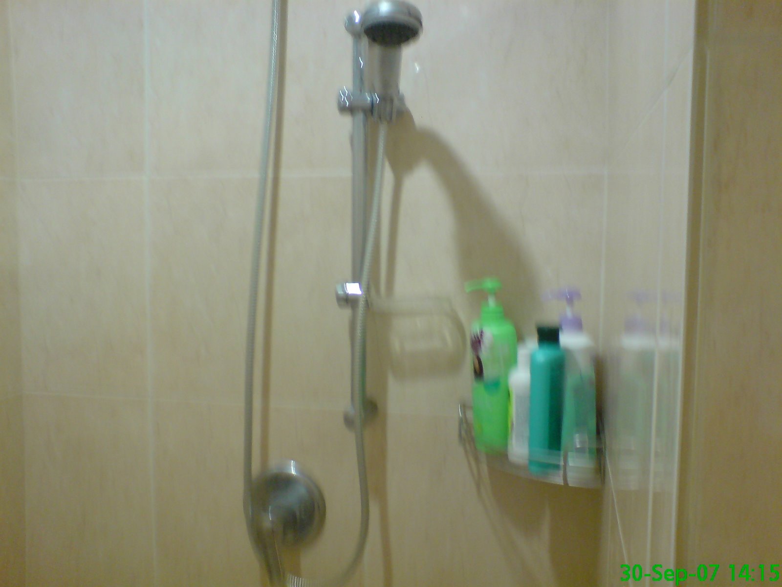 [DSC00419.JPG]