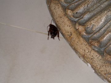 [IMG_0047.jpg]