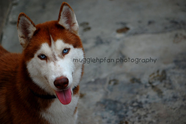 [Emily_06_by_mugglehpfan.jpg]