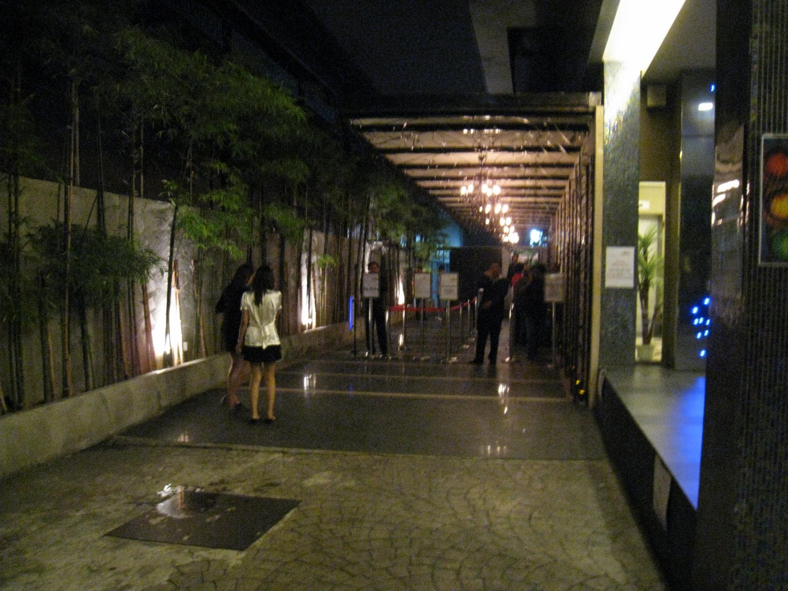 [IMG_3639.JPG]