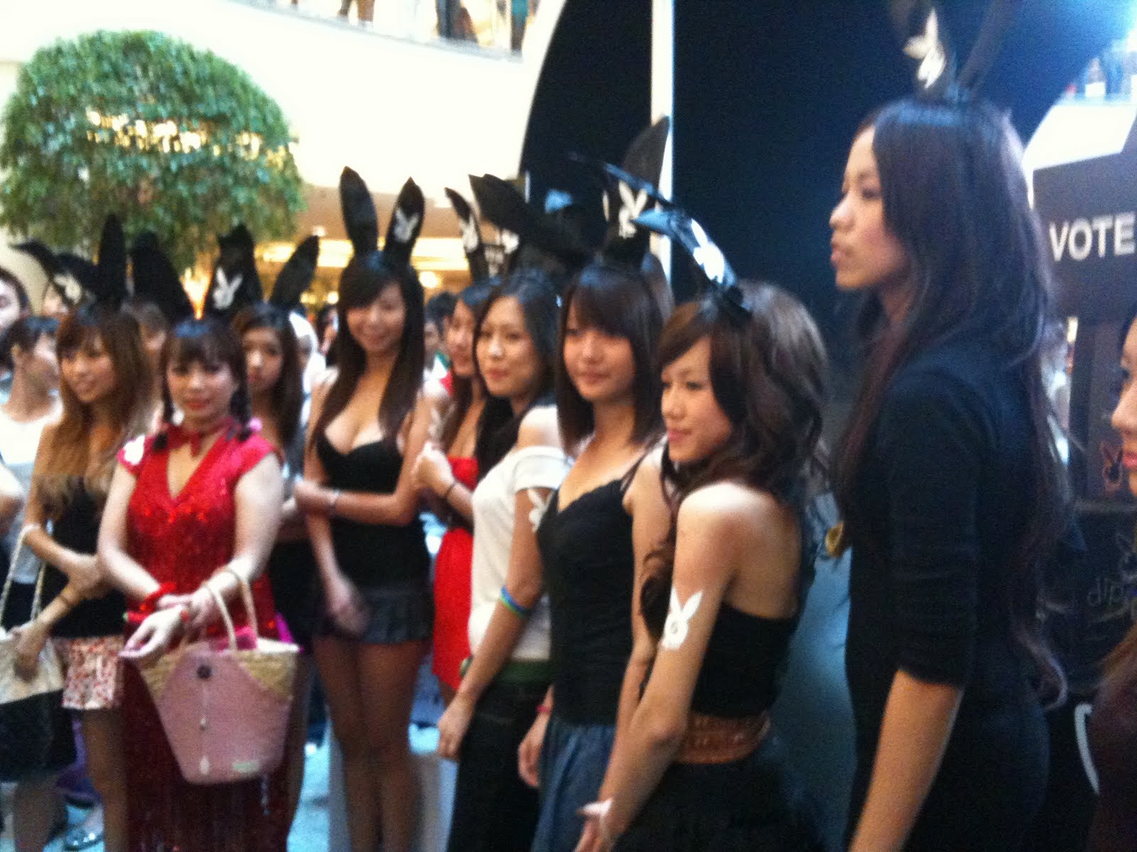 [IMG_0733.JPG]