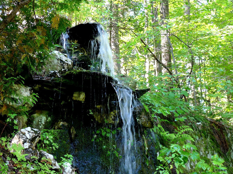 The Retirement Chronicles Autumn Carp River Gardens Part Two