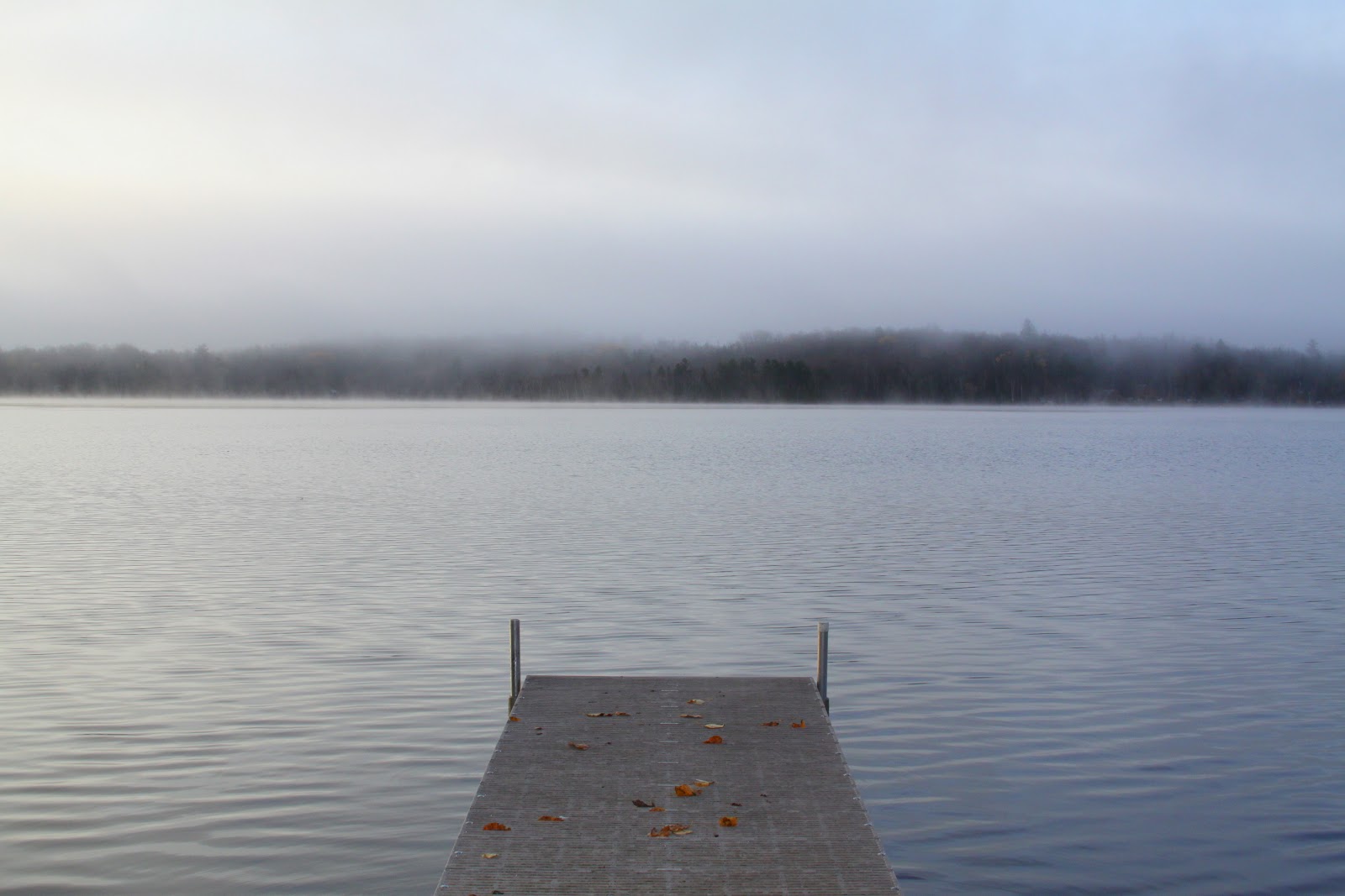 Foggy Dock