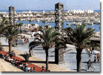 [bcn4.gif]