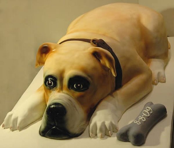Dog shaped cakes - 12 Pics Curious, Funny Photos / Pictures