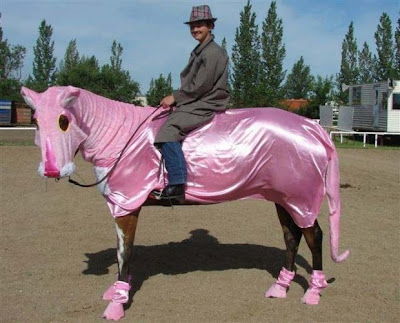 horse fancy dress
