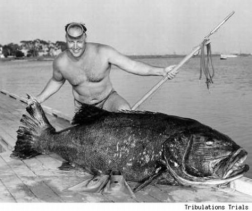 fish catch fisherman enormous fishing caught dream amazing biggest funny barbie extraordinary izismile tagged