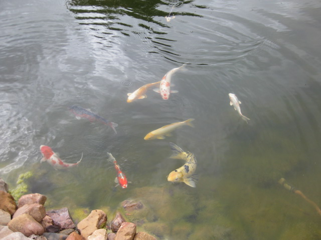 [IMG_2067.JPG]