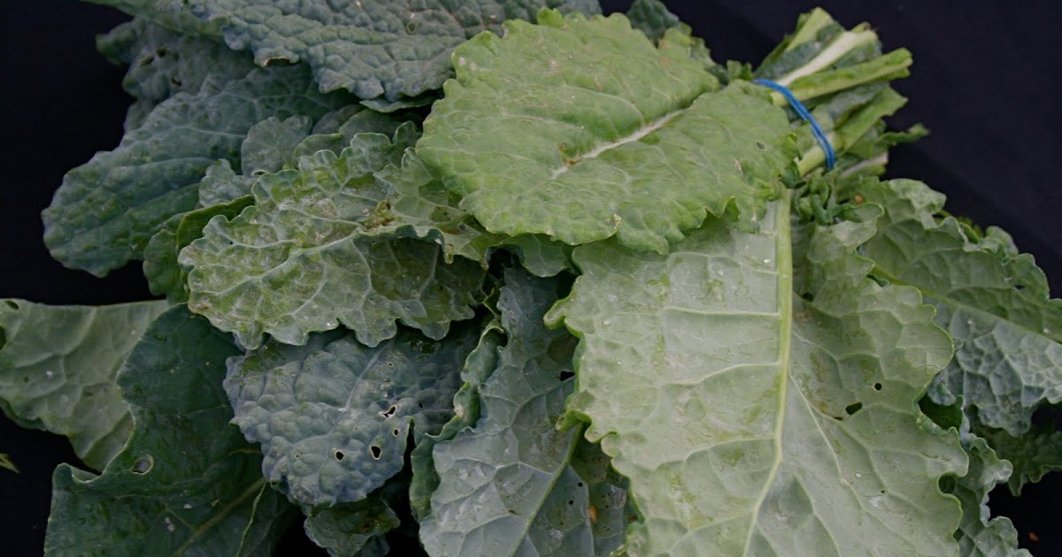 Cooking with Chef Mary Spinach, Kale & Swiss Chard