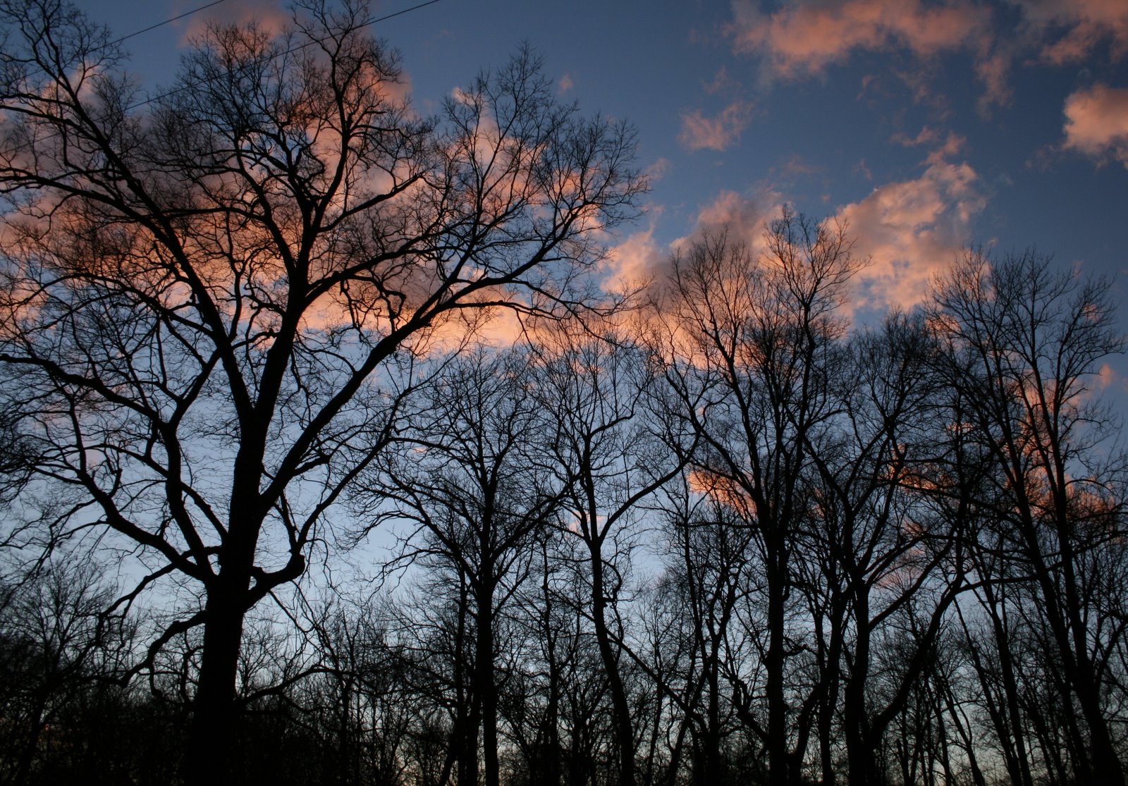 [IMG_0979.JPG]